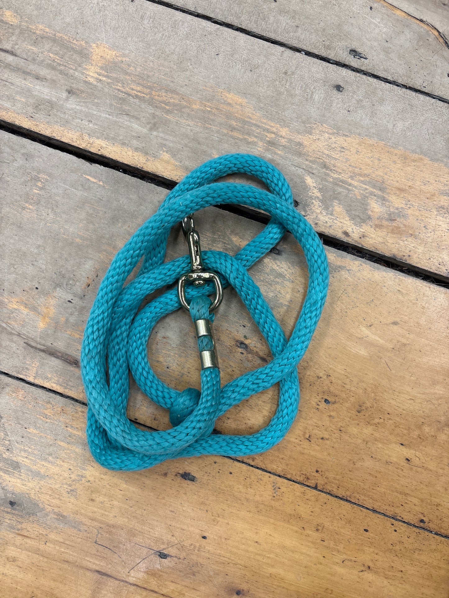 Nylon Lead Rope-Teal