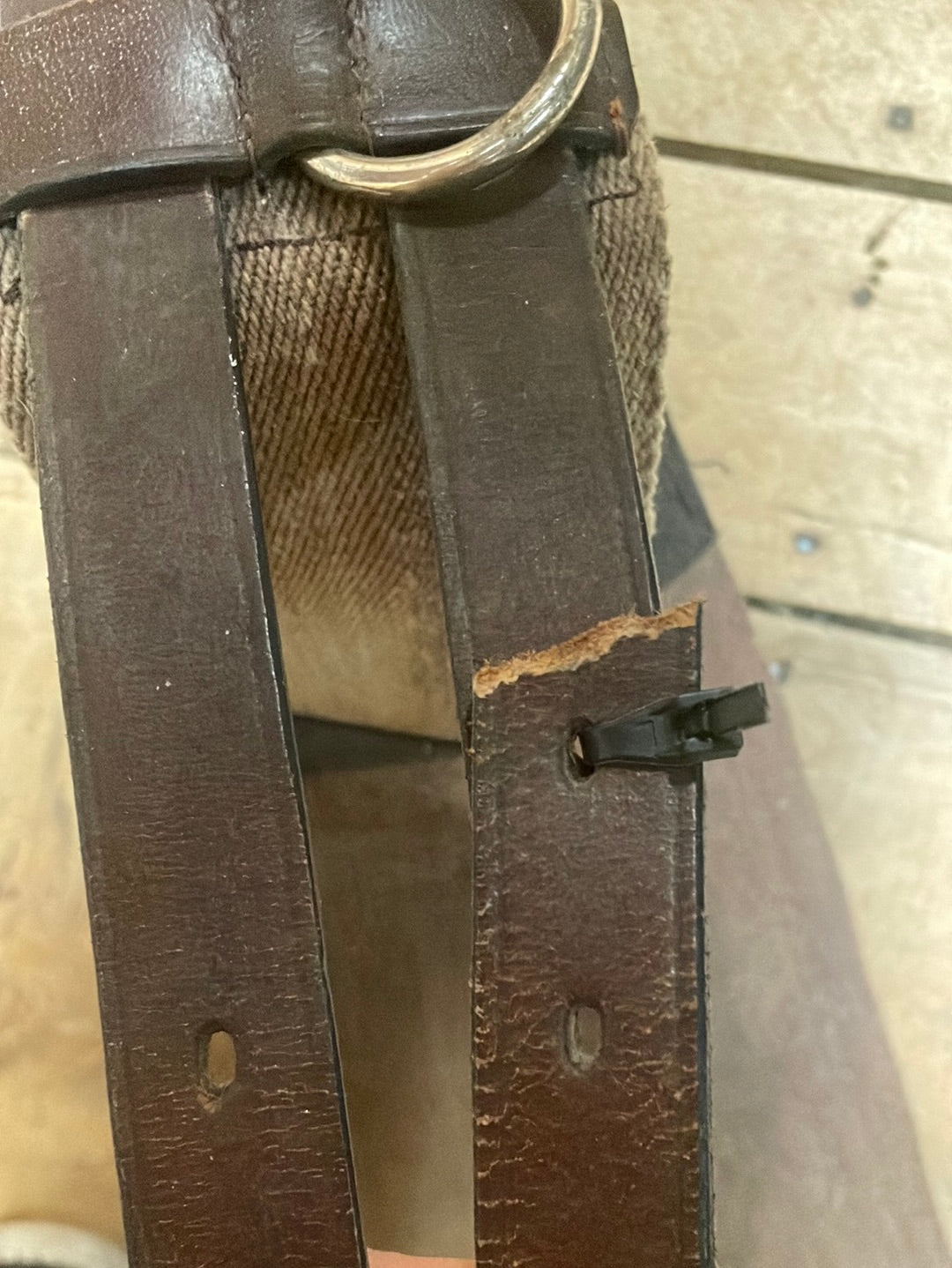 Surcingle with Girth