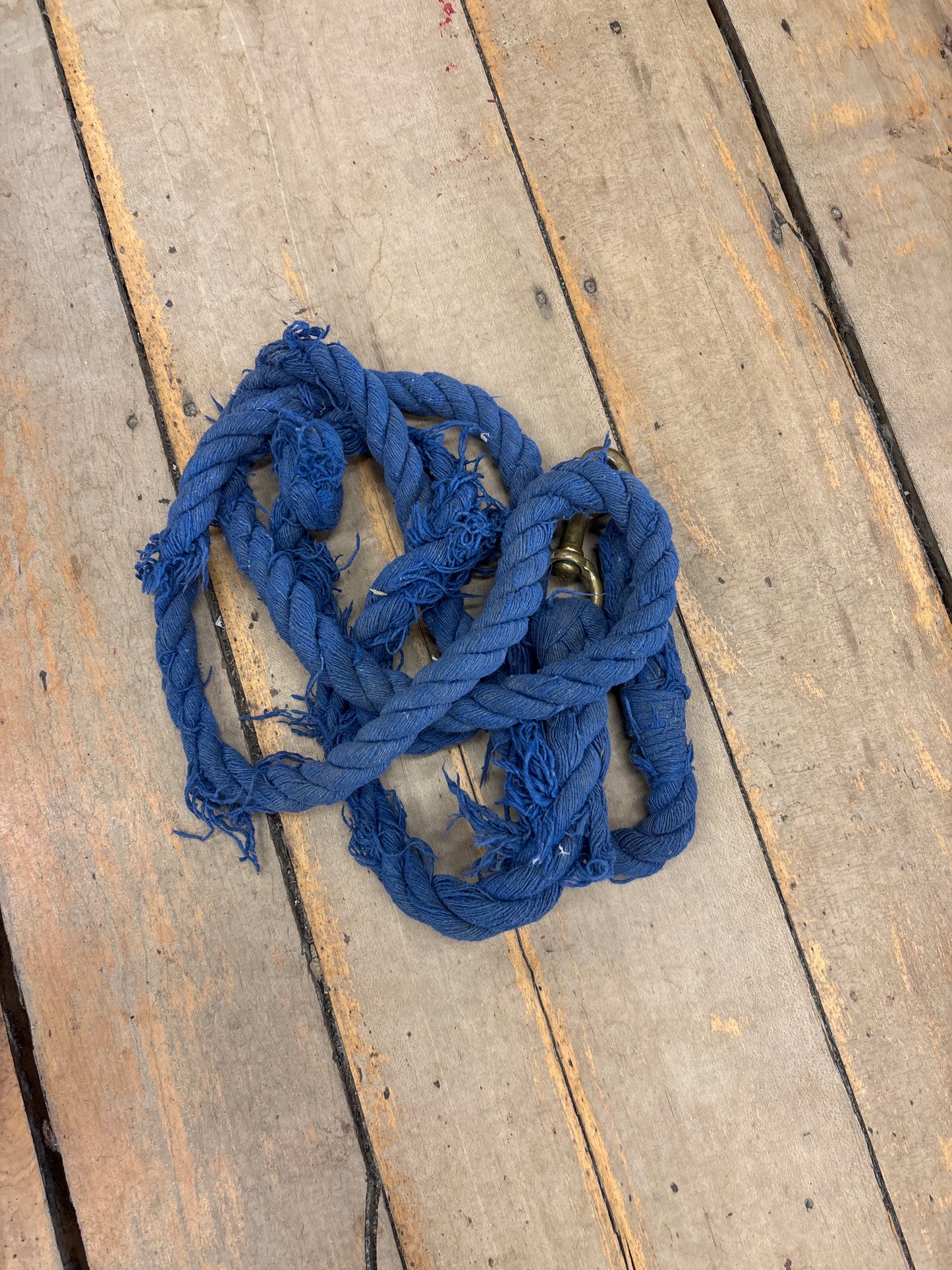 Cotton Lead Rope-10’-Blue