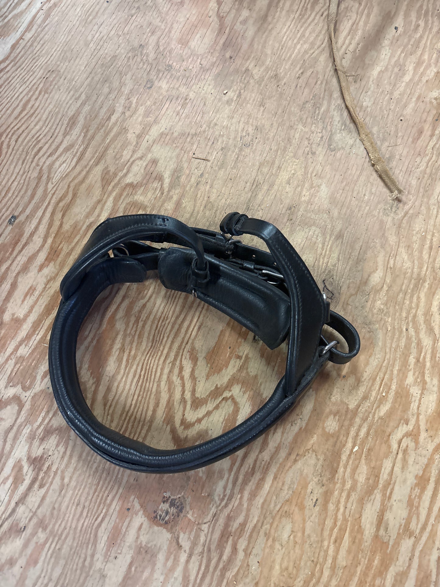 Noseband-Black Patent-Full