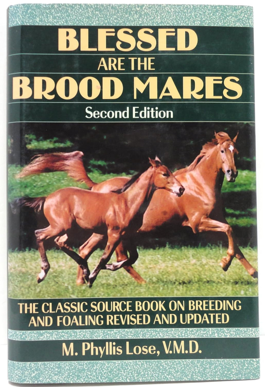 Blessed Brood Mares