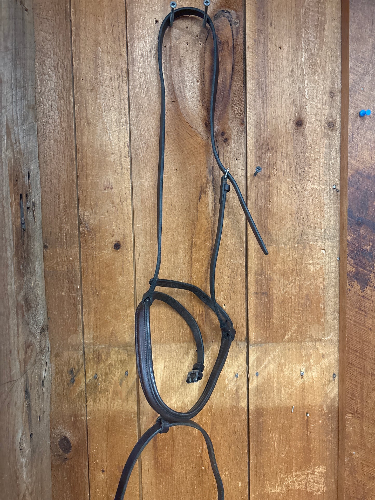 Noseband-Brown-Full
