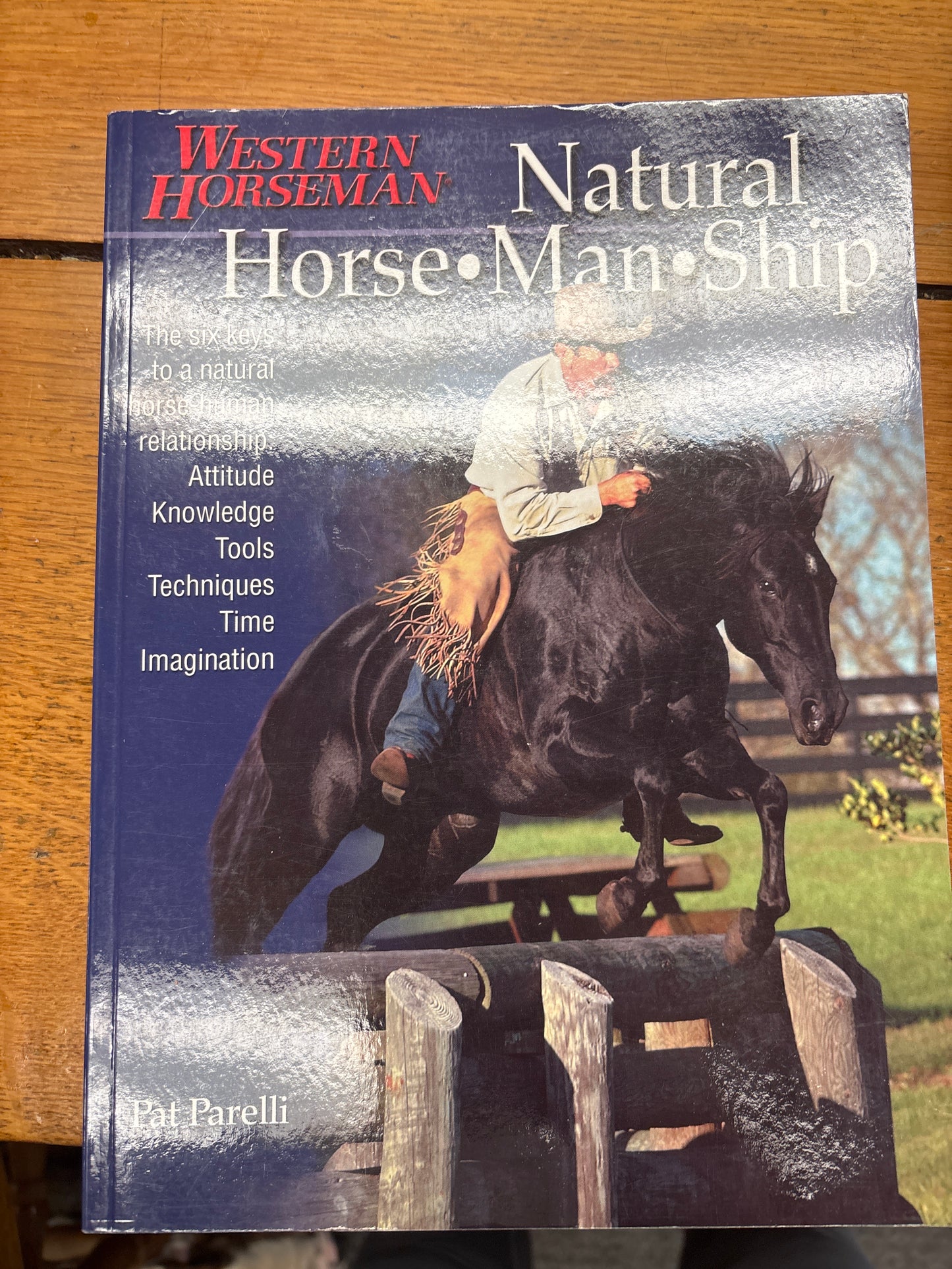 Natural Horsemanship