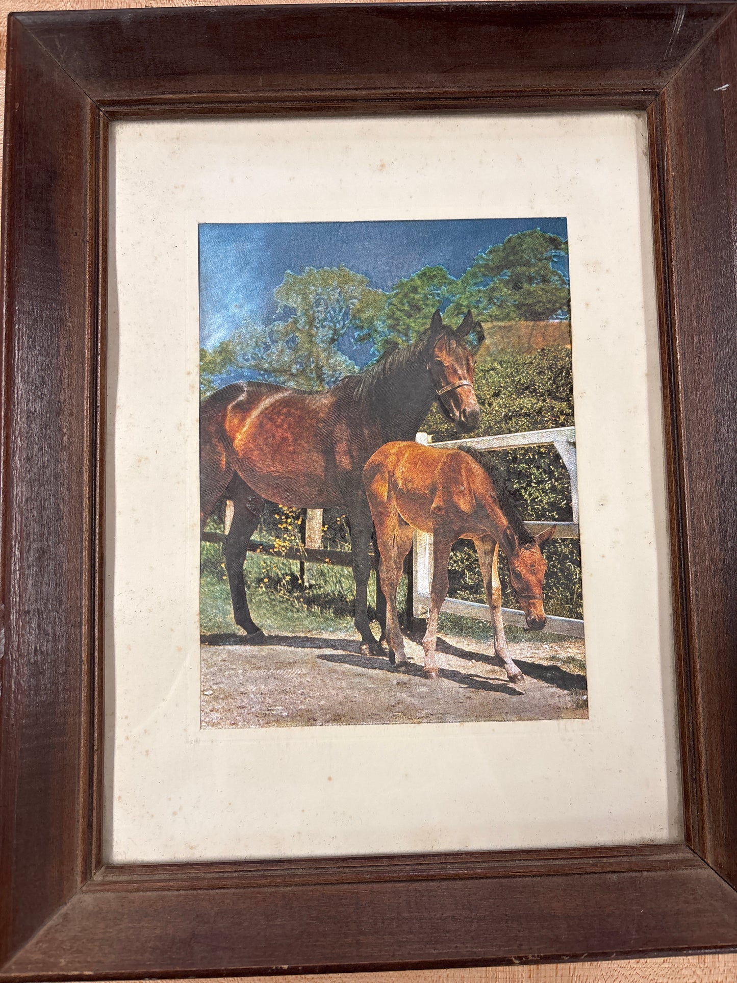Framed Mare and Foal