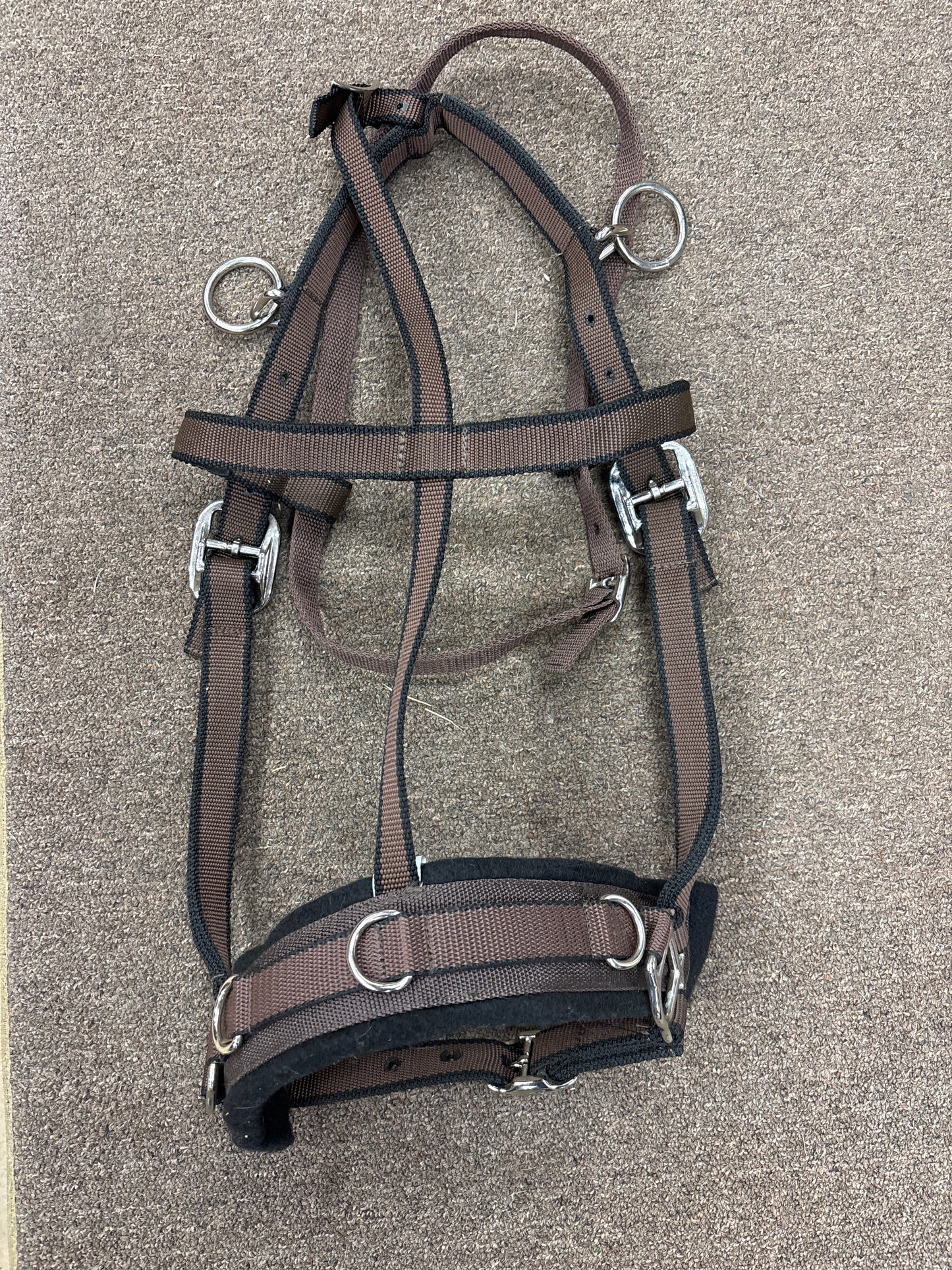 Bri-Tech Lunge Cavesson-Brown-Full