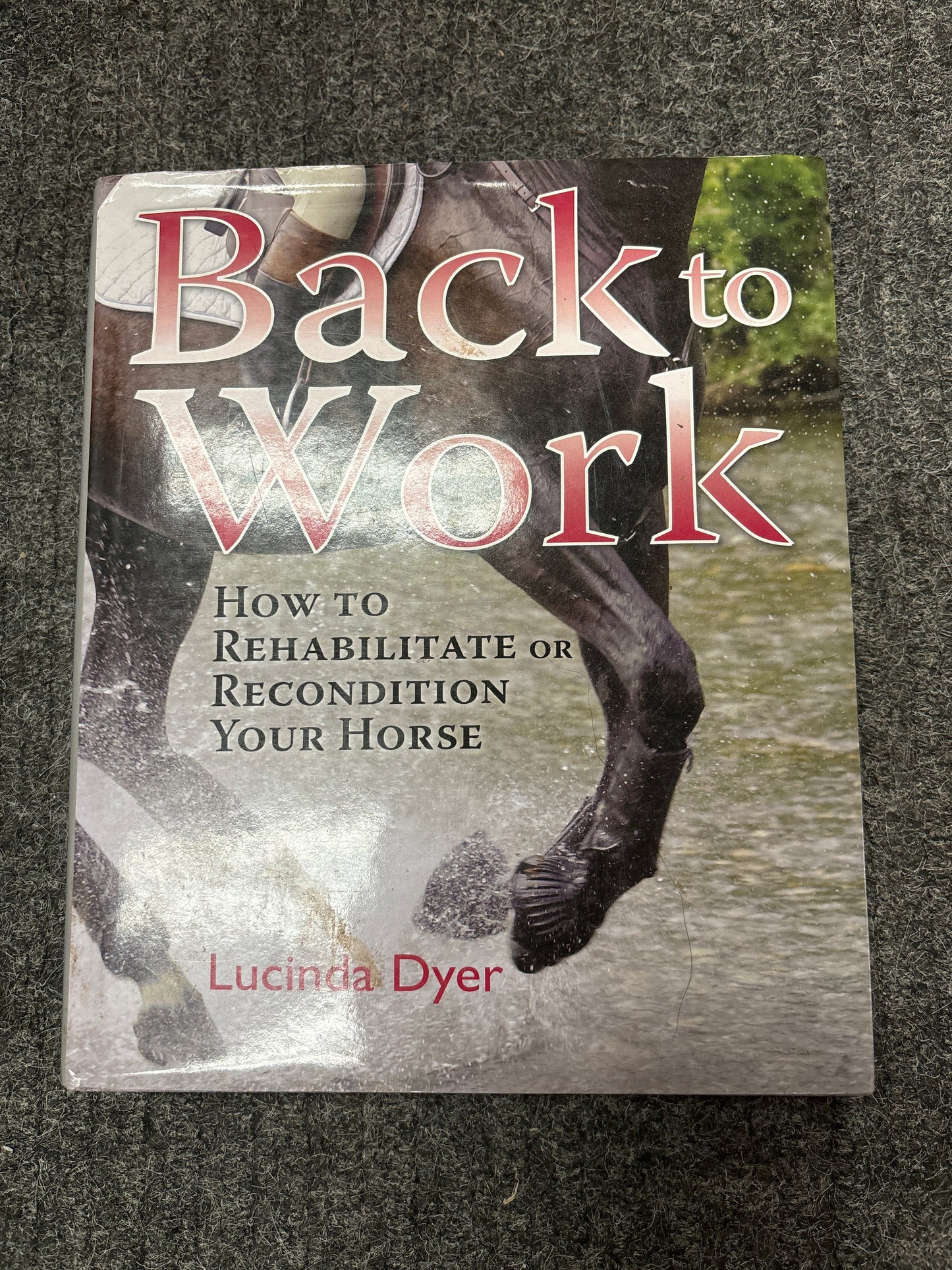 Back to Work: How to rehabilitate or recondition your horse