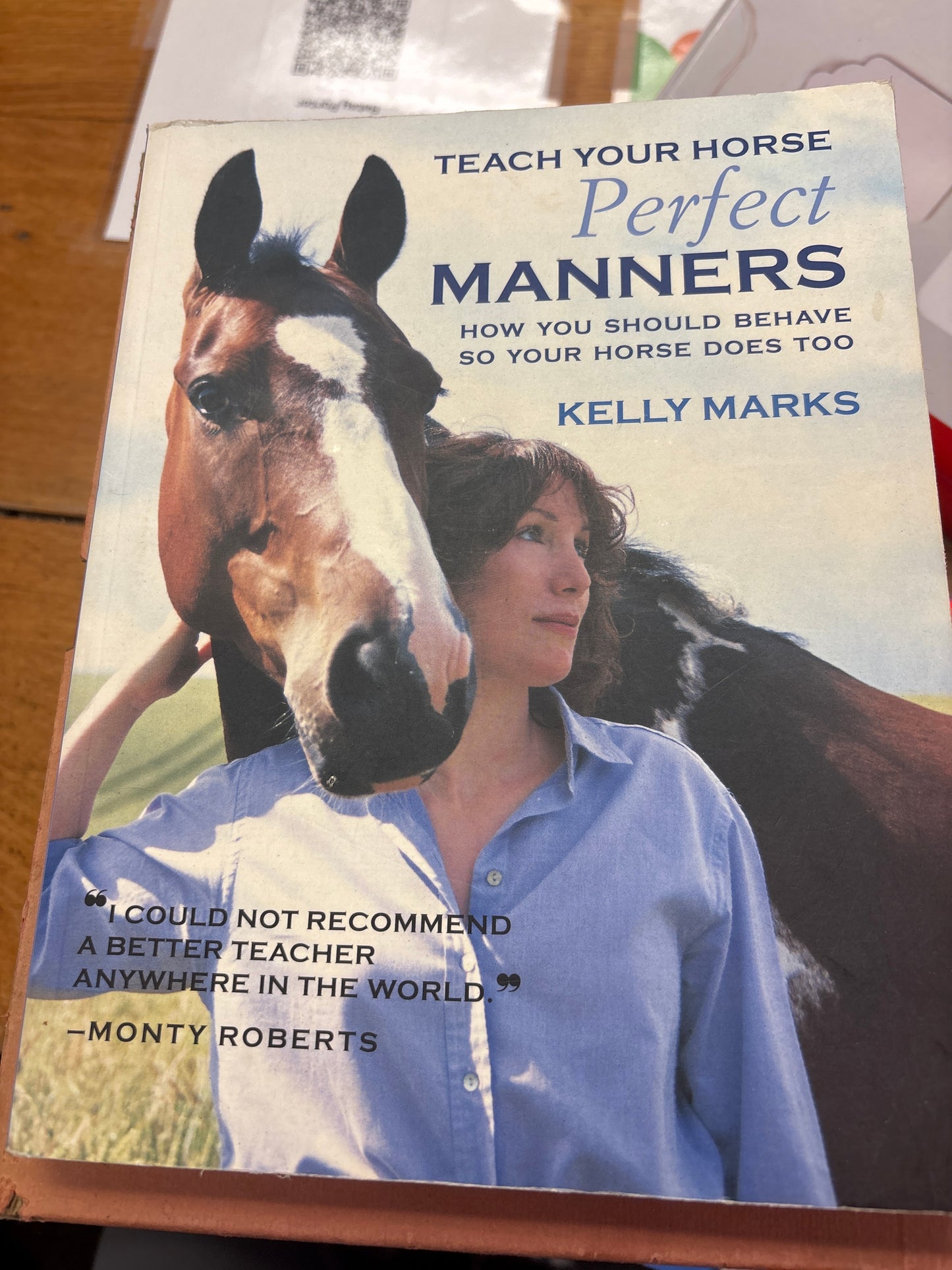 Teach Your Horse Perfect Manners