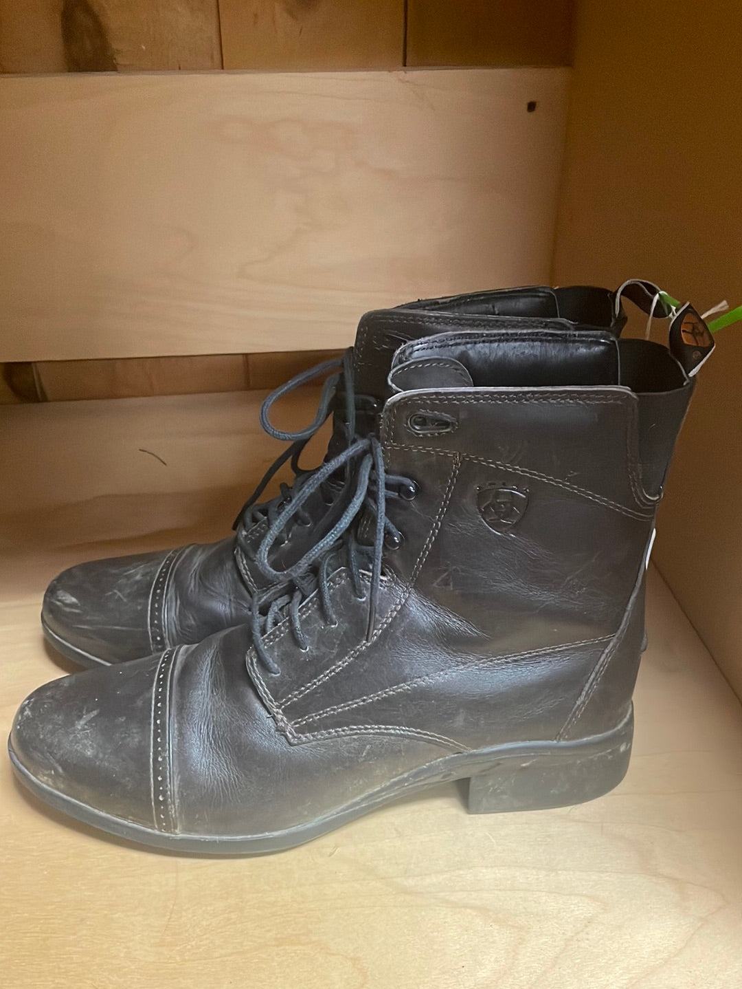 Men’s Ariat Lace Up Paddock Boots