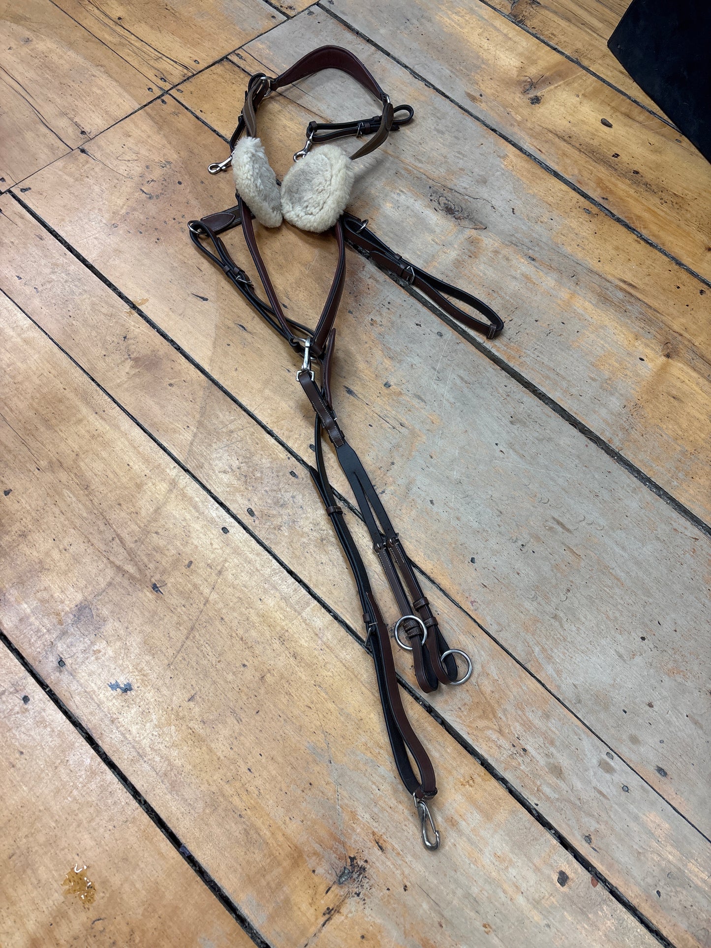 HDR 5 Way Breastplate-Brown-Cob