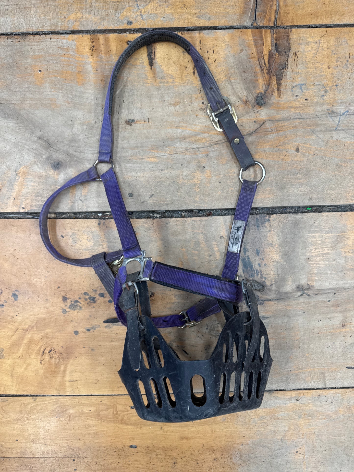 Muzzle greenguard