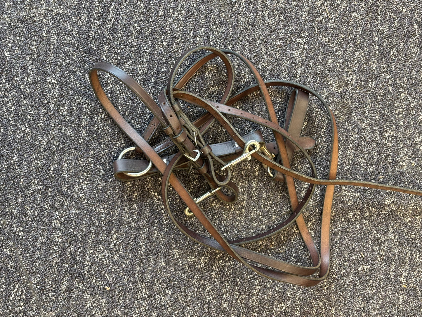 Draw Reins-Leather-Full