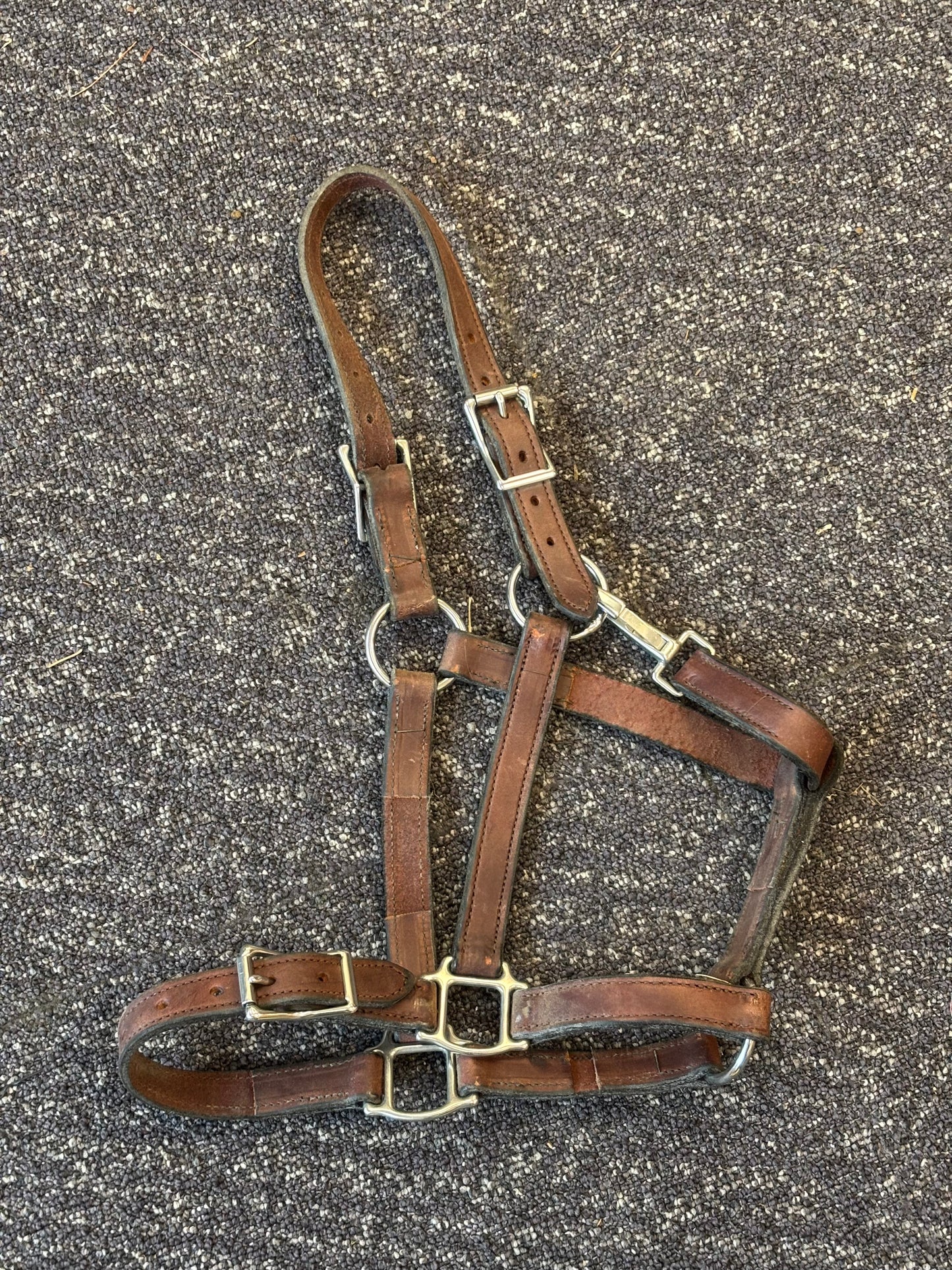 Leather Halter-Brown-Full