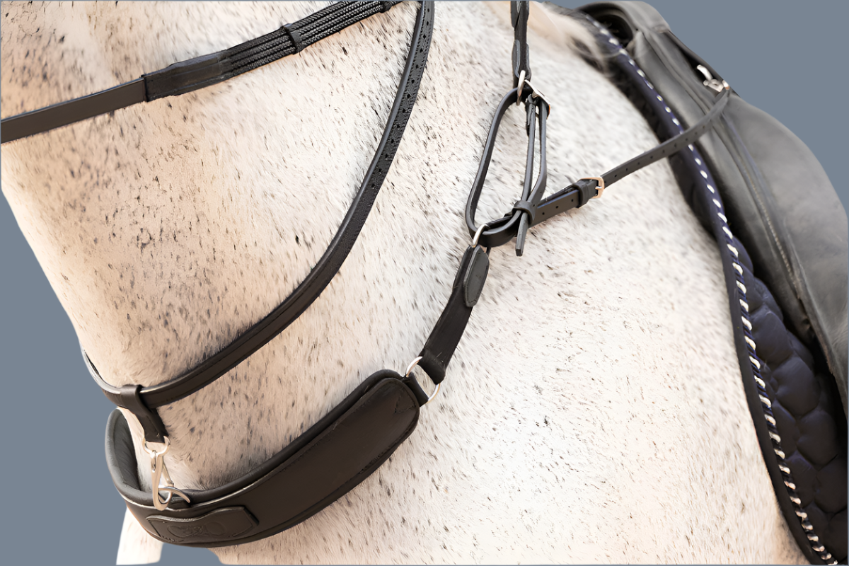 Correct Connect 3 in 1 Training Breastplate