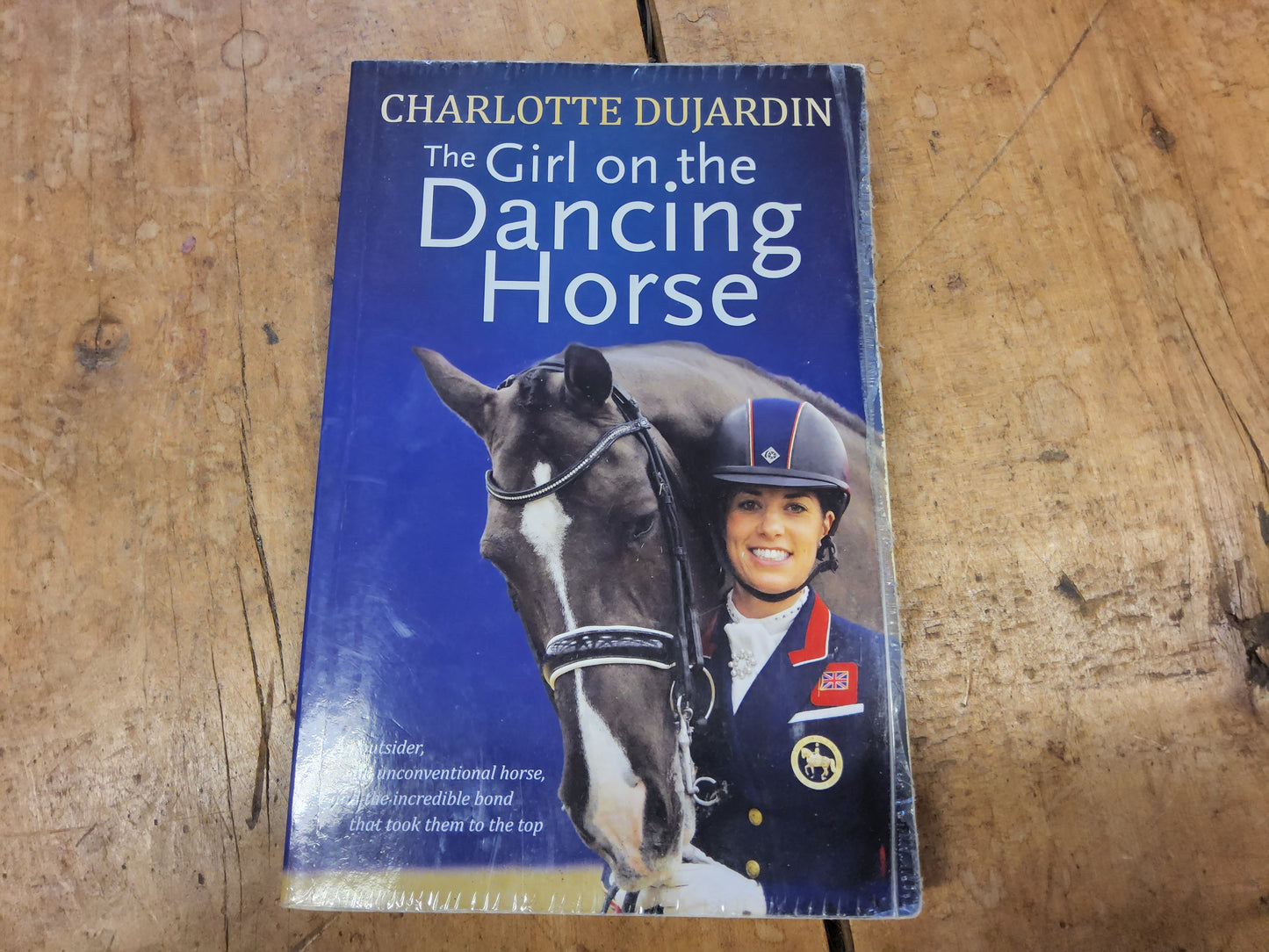 The Girl on The Dancing Horse