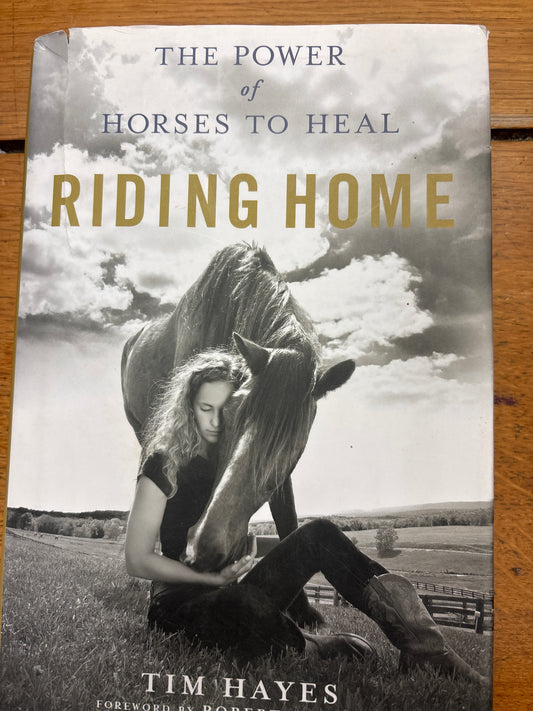 The Power of Horses to Heal