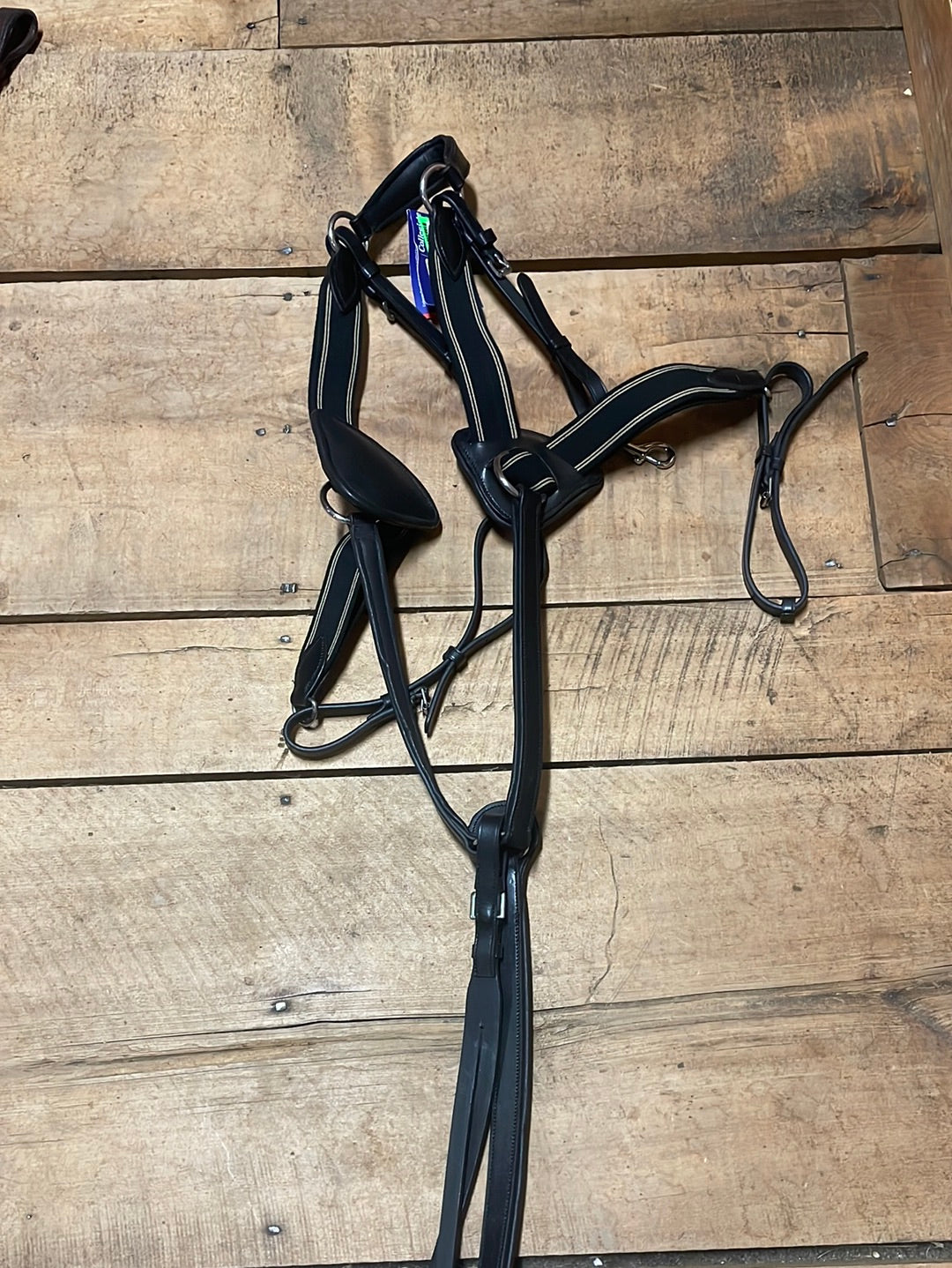 Collegiate Essential 5-Point Breastplate-Black-Full