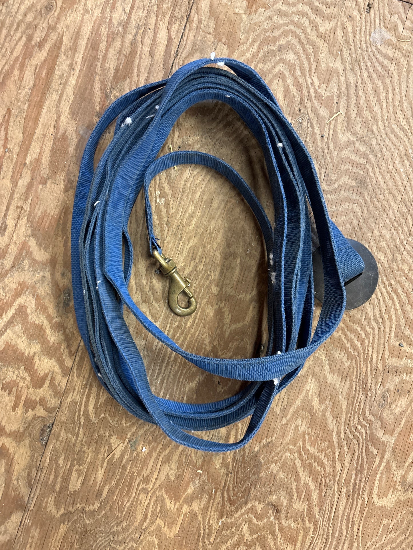 Lunge Line-Blue-25’