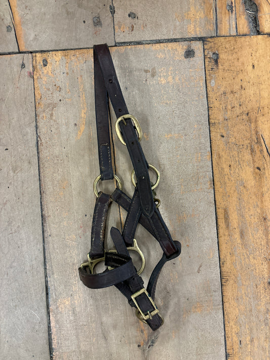 Foal Halter-Brown Leather