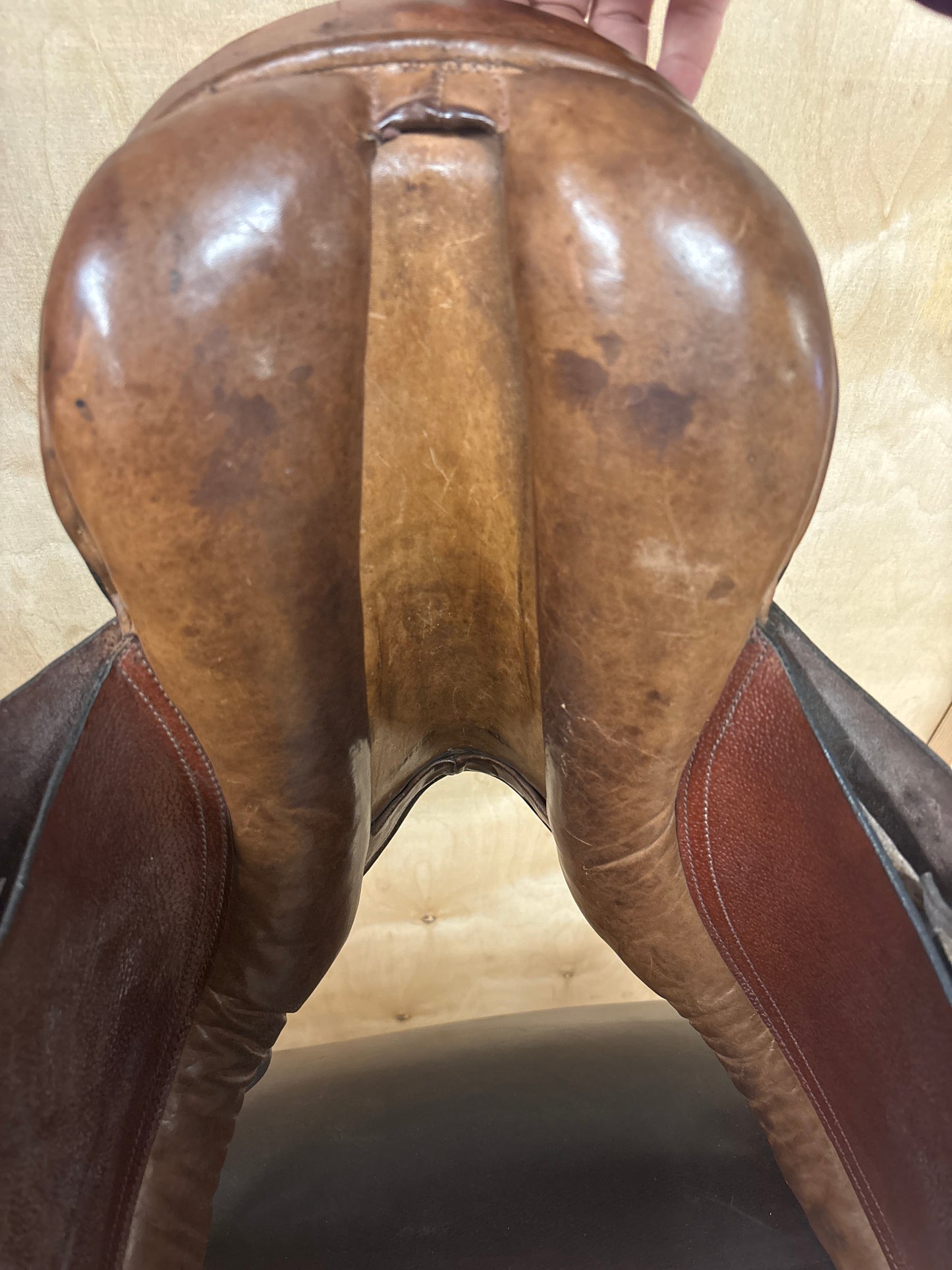 No Brand Children’s English Saddle