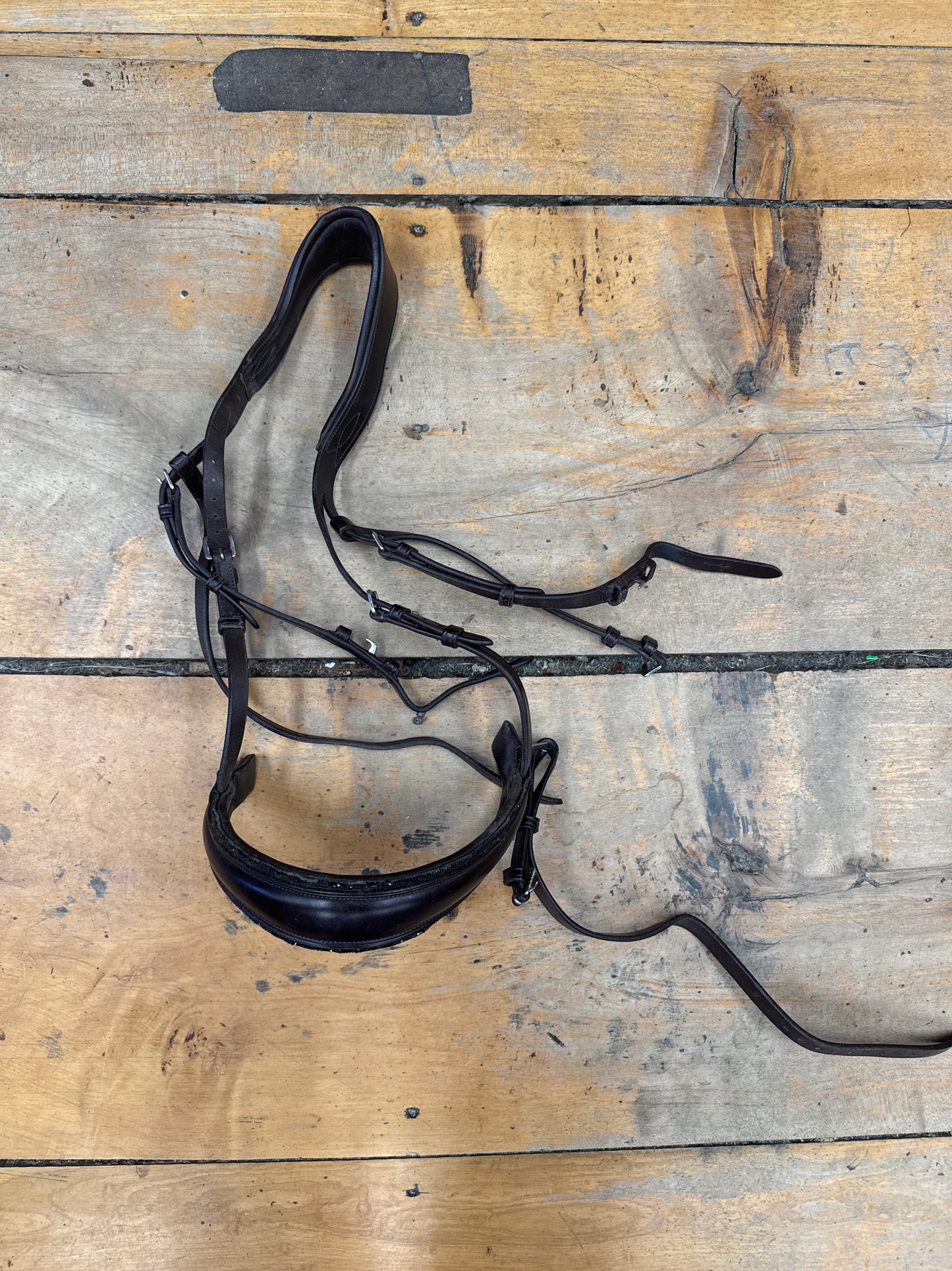 Ice Equestrian Headstall-Brown-Full