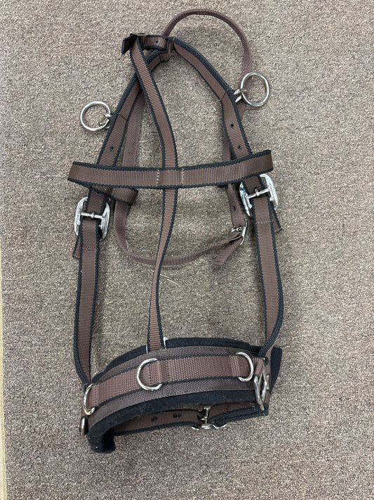 Bri-Tech Lunge Cavesson-Brown-Full