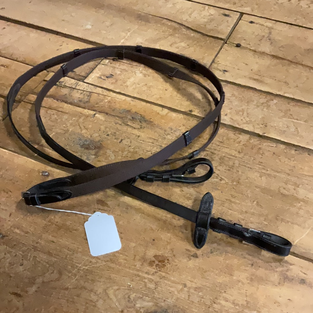 Webbed Reins