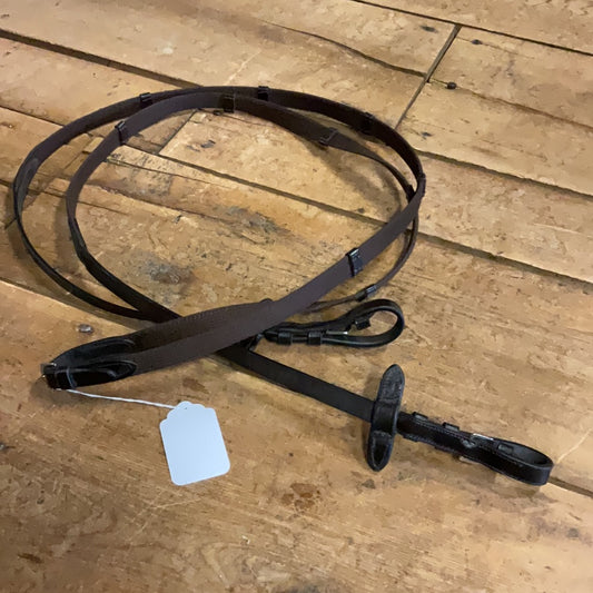 Webbed Reins