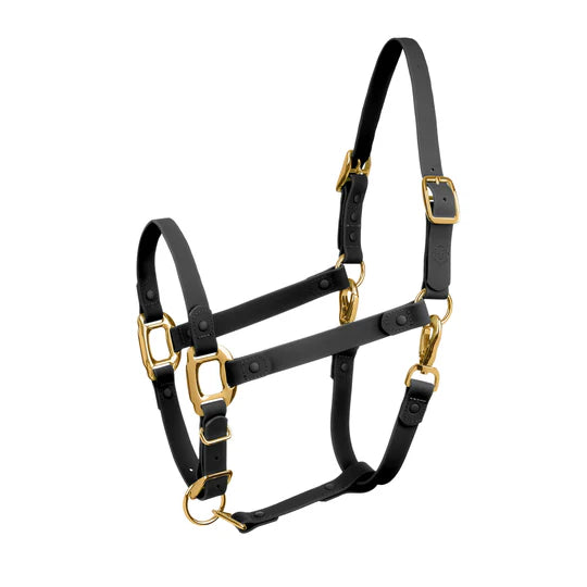 ICavallo Breakaway Halter