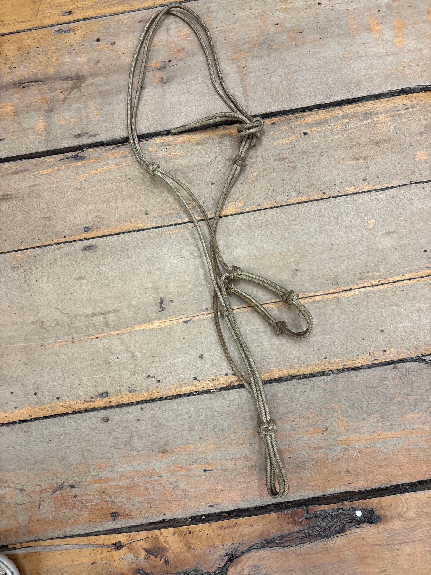 Rope Halter-Beige-Horse