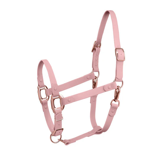ICavallo Breakaway Halter