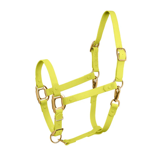 ICavallo Breakaway Halter