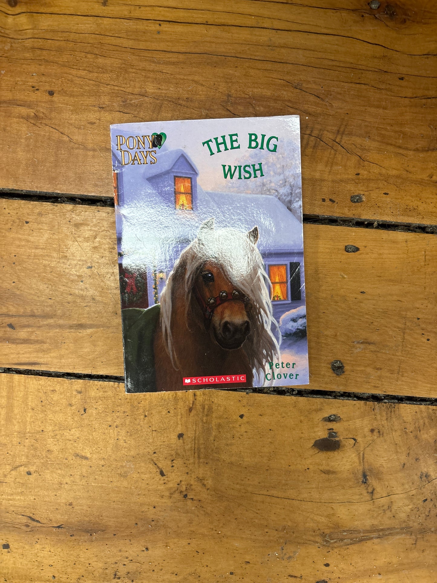 The Big Wish