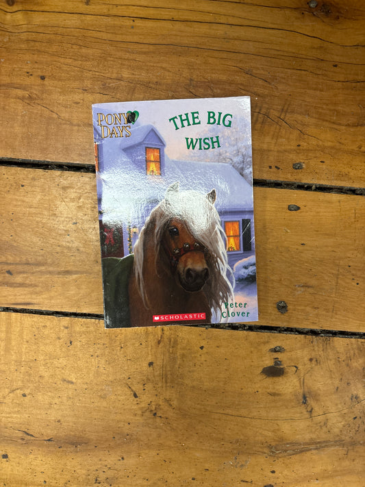 The Big Wish