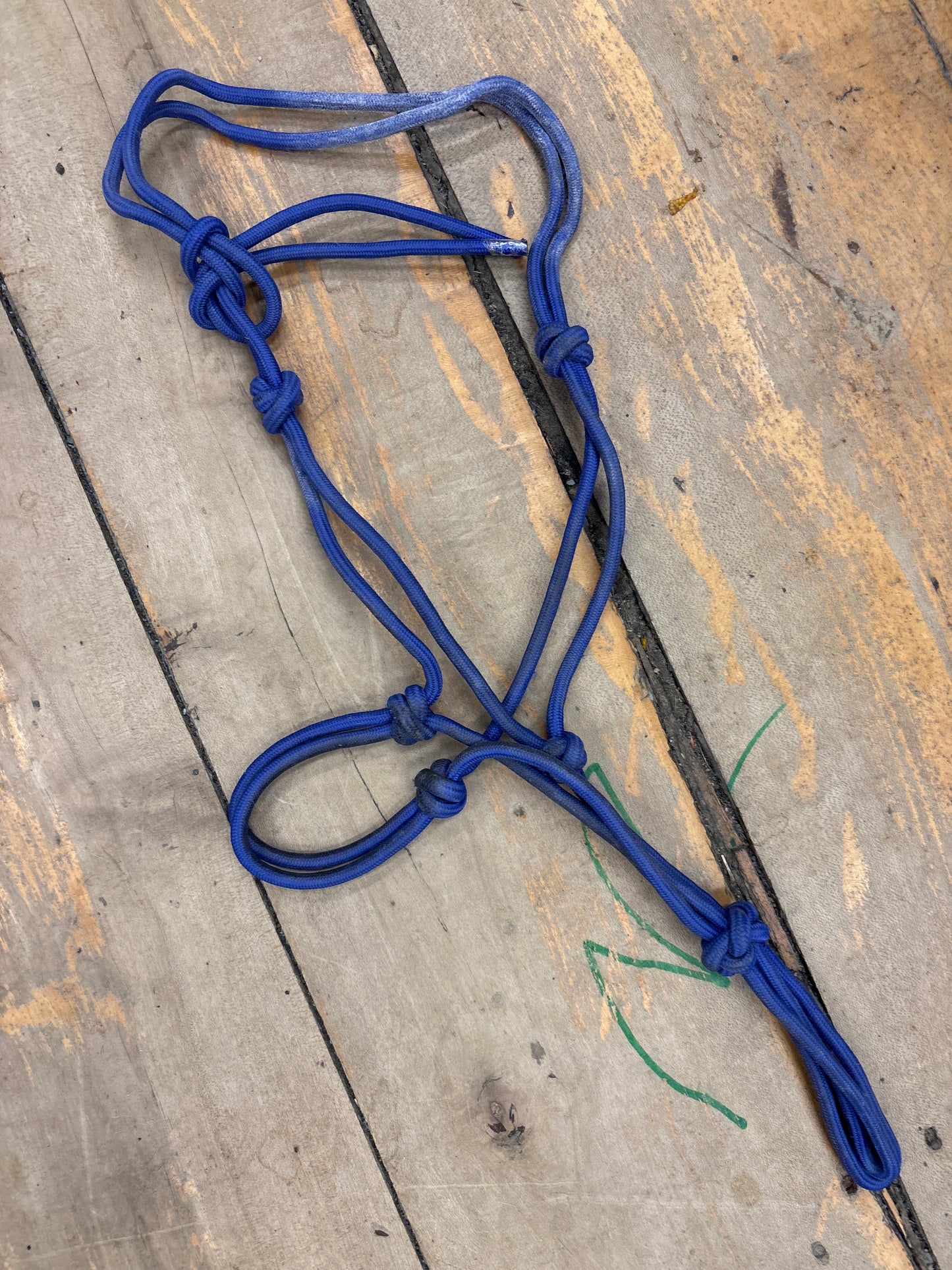 Rope Halter-Blue-Pony