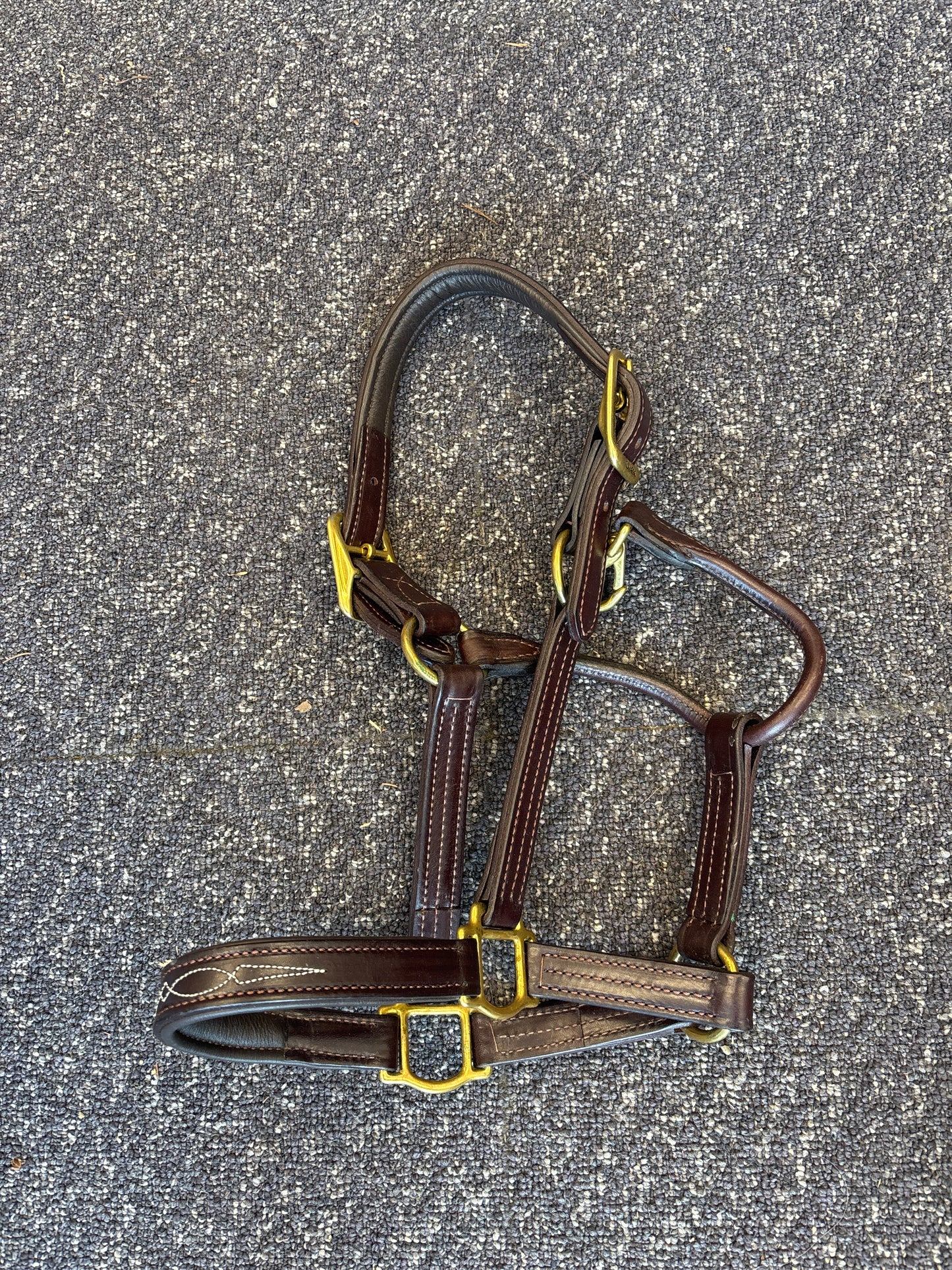 Leather Halter-Brown-Full