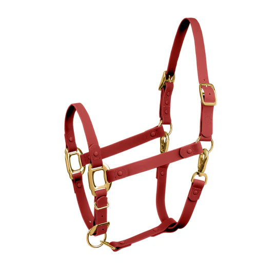 ICavallo Breakaway Halter