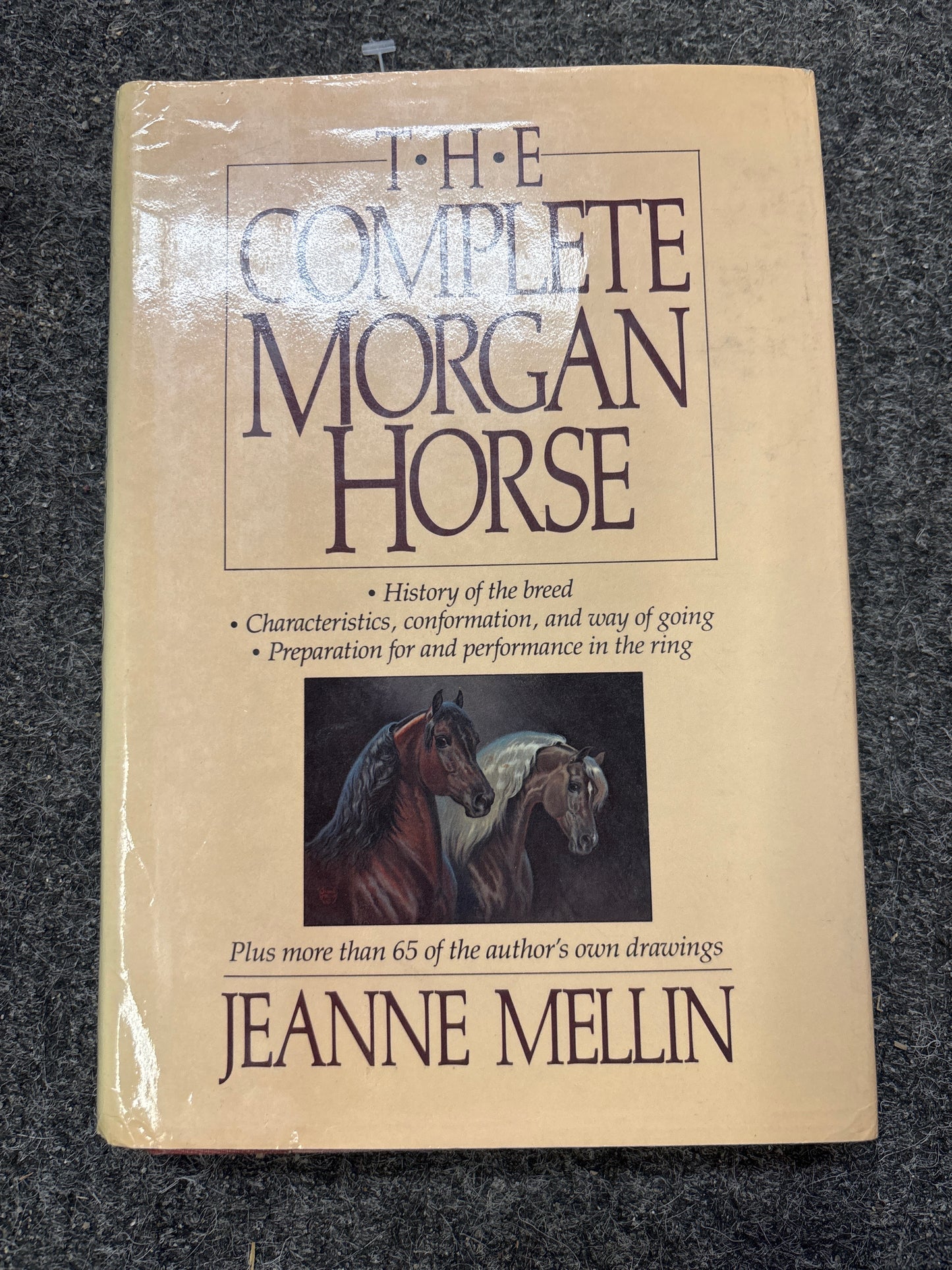 The Complete Morgan Horse
