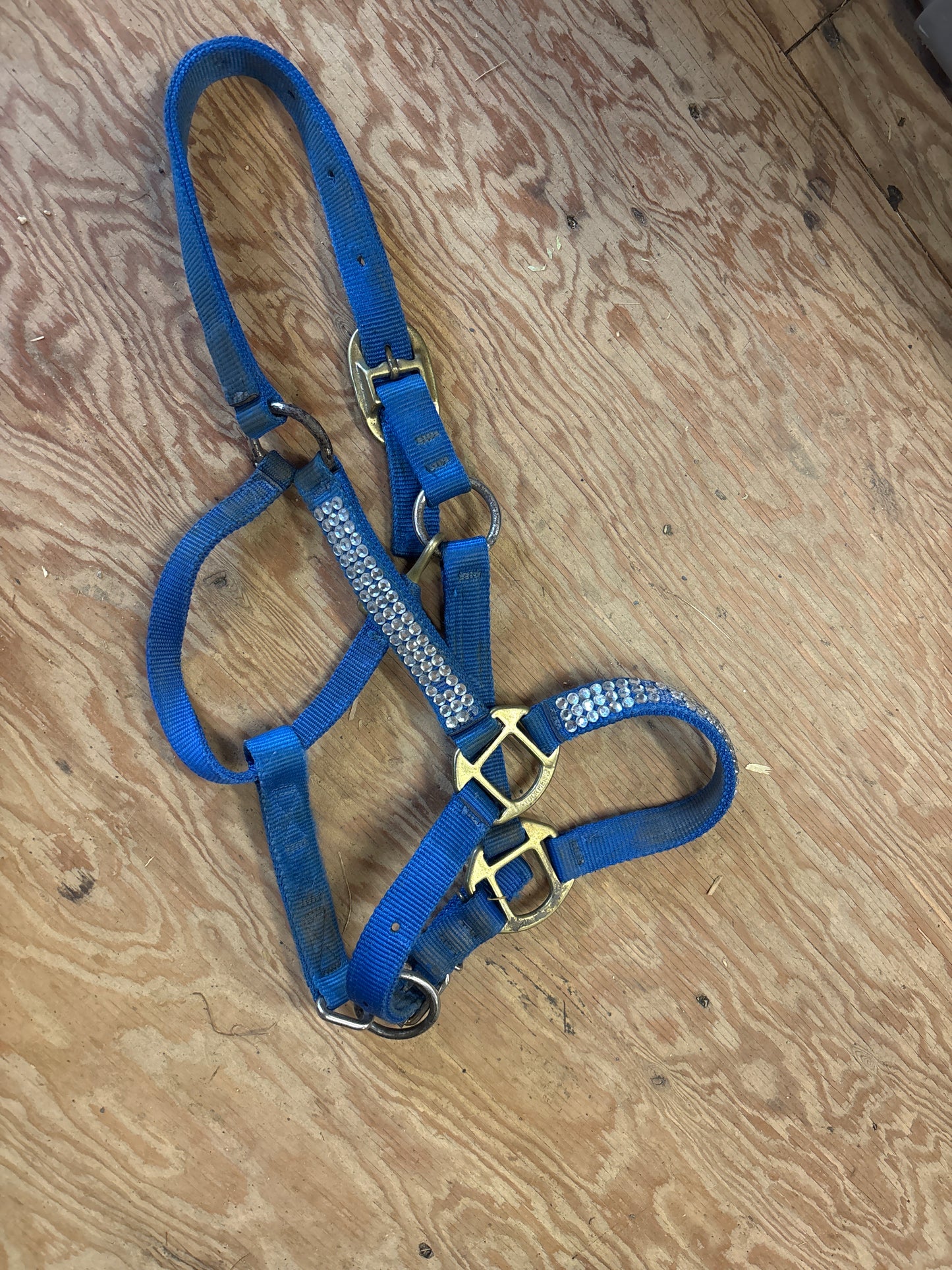 Nylon Bedazzled Halter-Blue-Cob