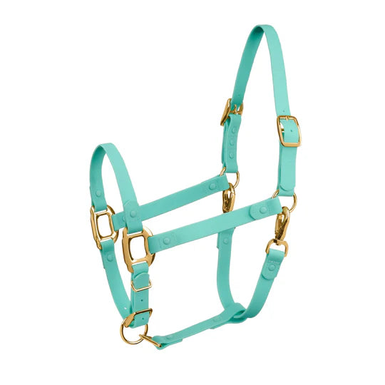 ICavallo Breakaway Halter