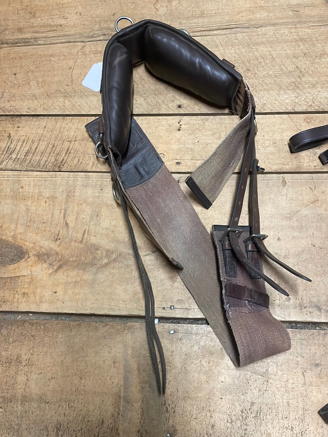 Surcingle with Girth