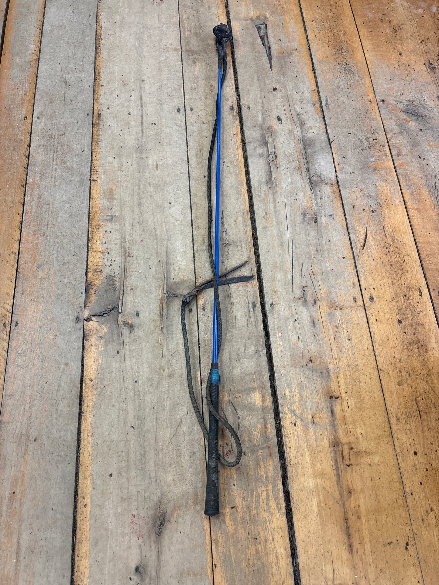 Carrot Stick-Blue