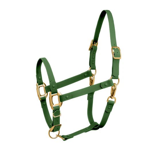ICavallo Breakaway Halter
