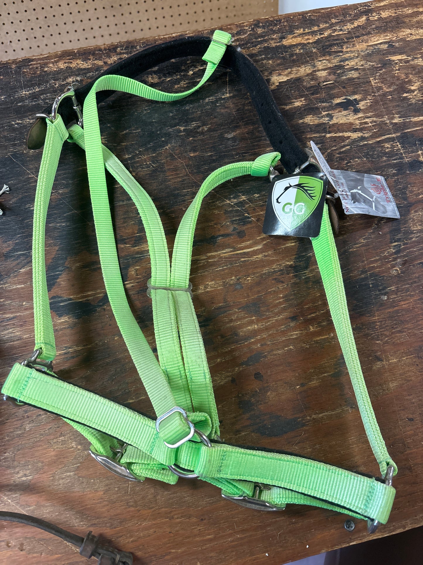 GG Equine Halter-Green-Full