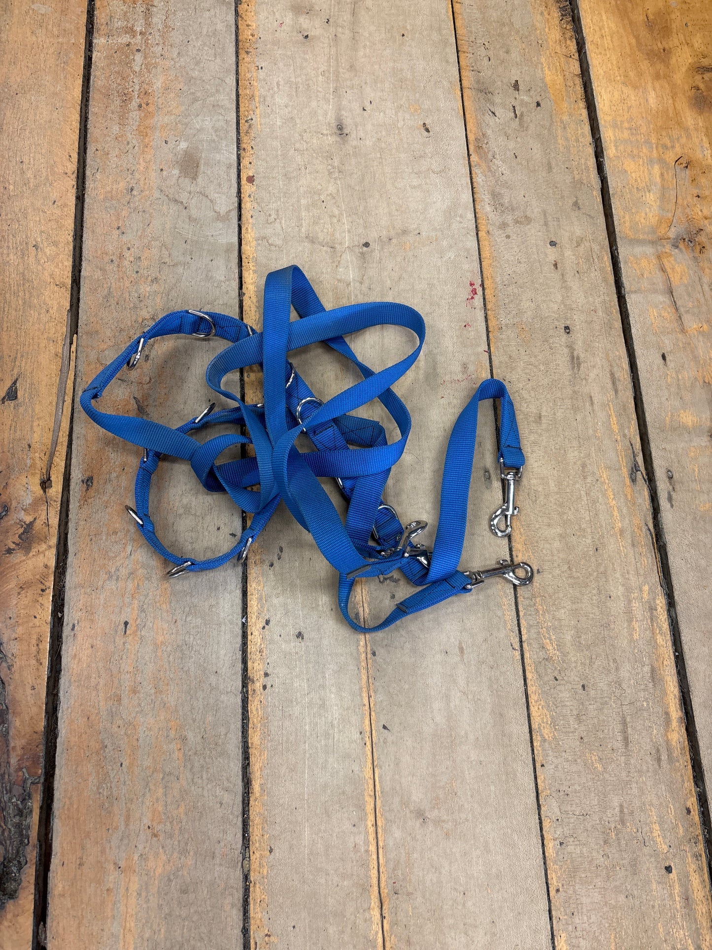 Side Reins-Nylon-Blue