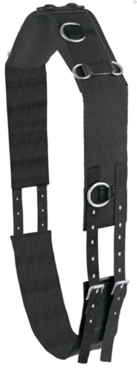 Camelot Web Surcingle-Black-Horse