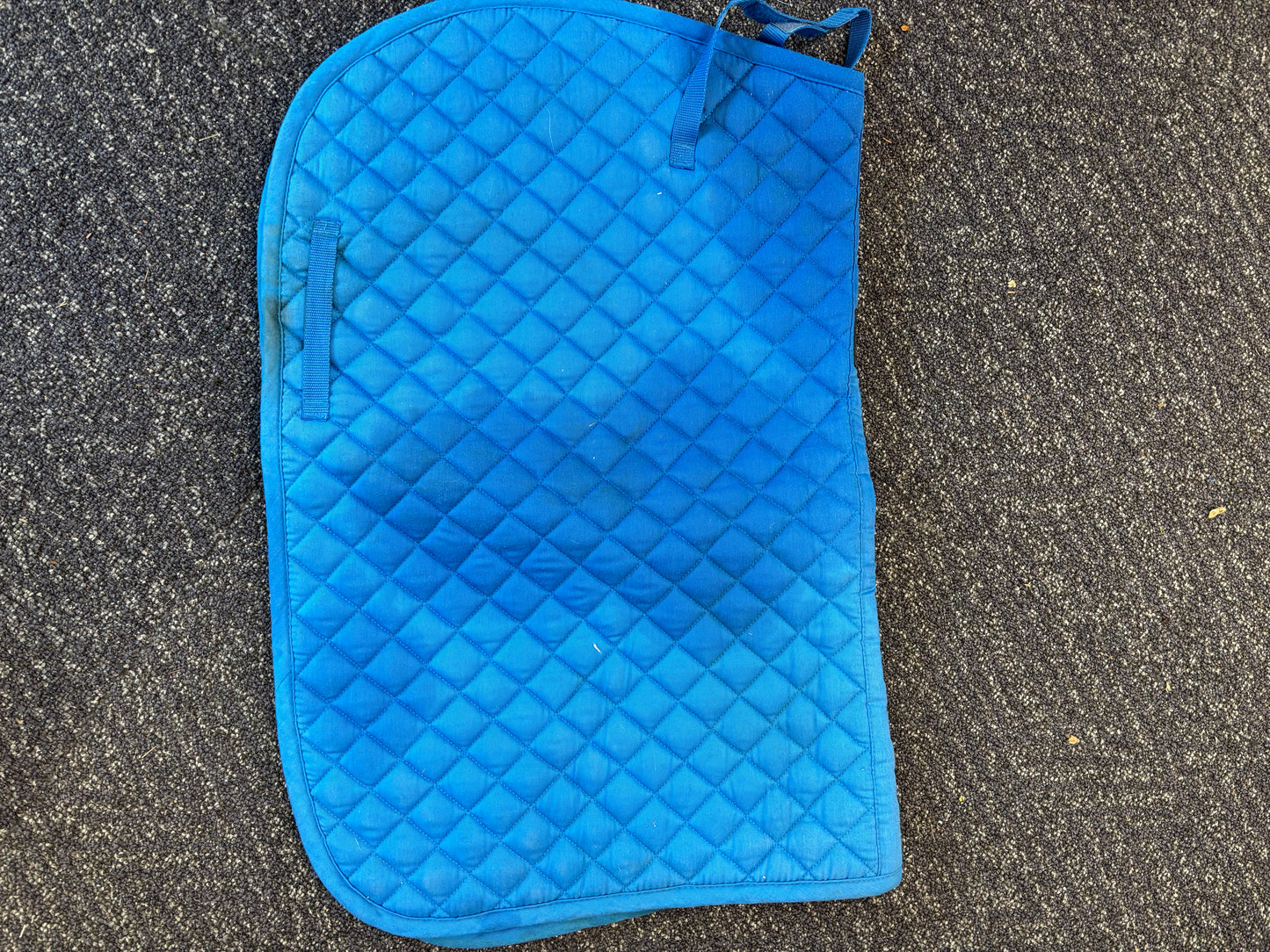 Dover Pony Pad-Blue