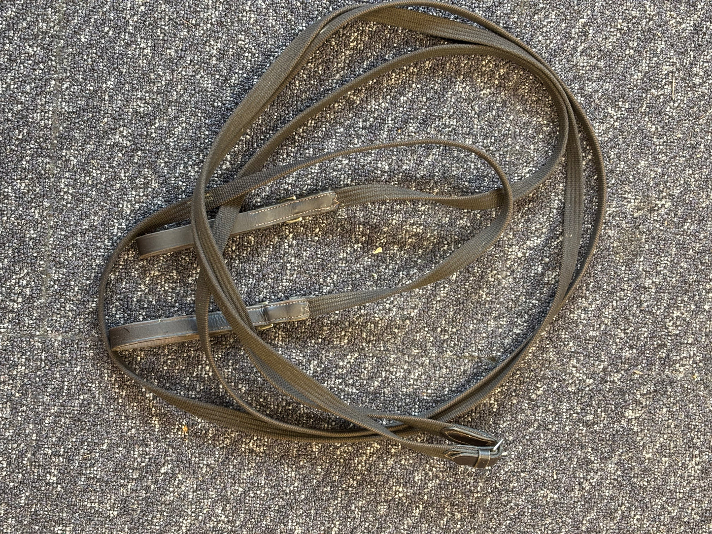 Draw Reins-Webbed-Full