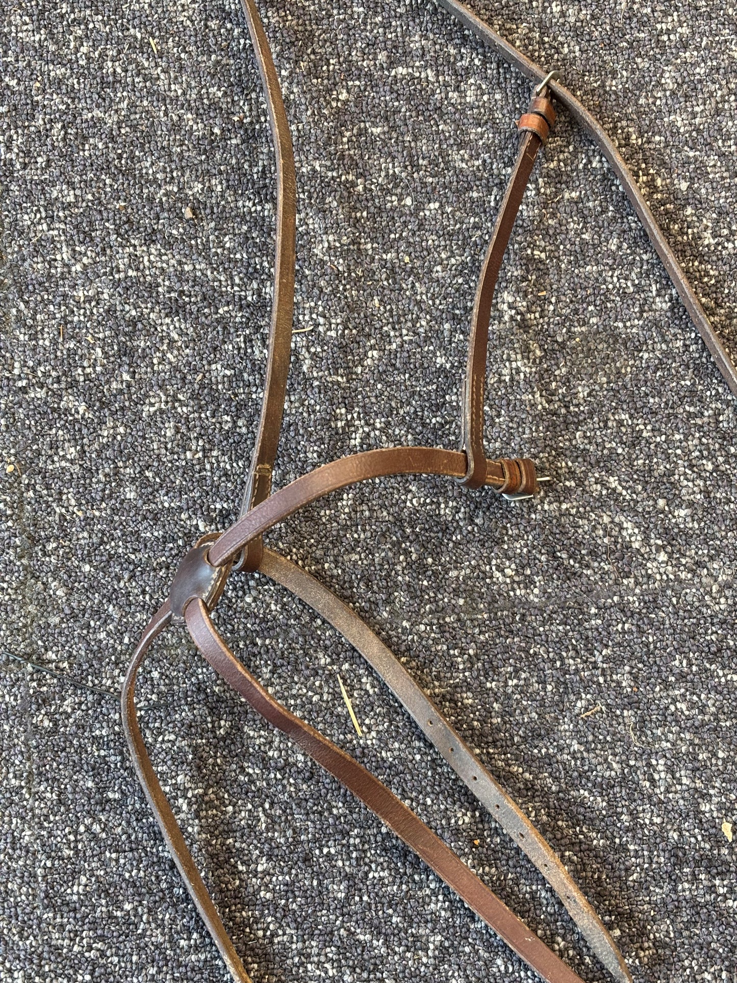 Figure 8 Noseband-Brown-Full