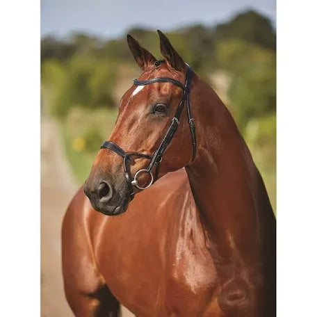 Collegiate ComFiTec Training Bridle