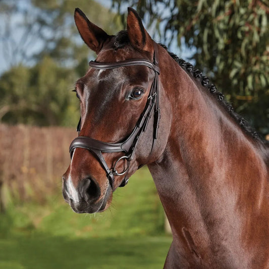 Collegiate ComFiTec Vogue Anatomical Bridle-Brown-Full